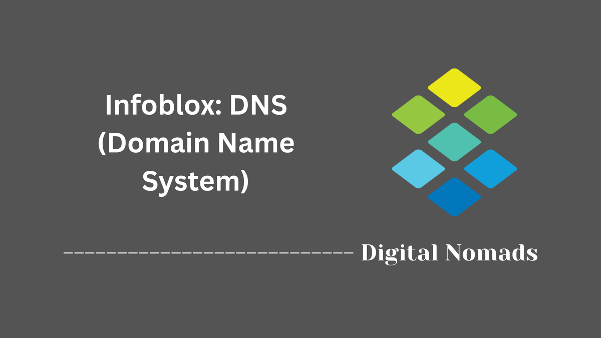 Infoblox: DNS (Domain Name System)