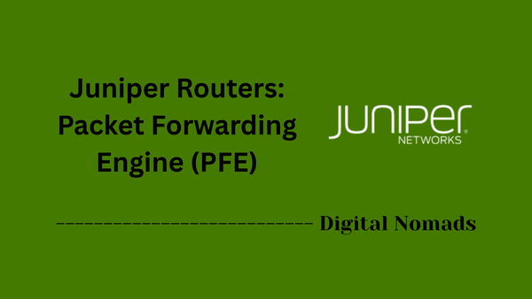 Juniper Routers: Packet Forwarding Engine (PFE)