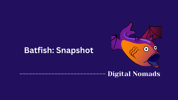 Batfish: Snapshot